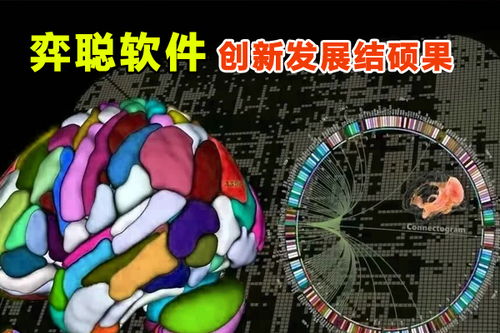 弈聰軟件科研創(chuàng)新結(jié)碩果,50多項專利授權技術催生發(fā)展動能