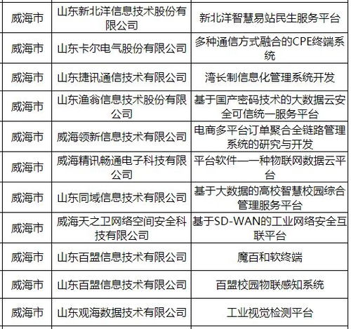 省重點軟件項目名單,威海11個入選